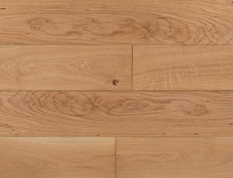 Chester Oak (Sample)
