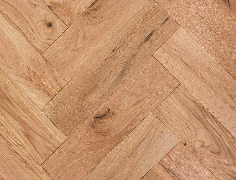 Belmont Oak (Sample)