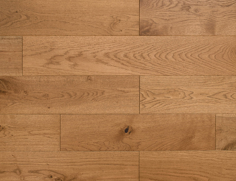 Herald Oak (Sample)
