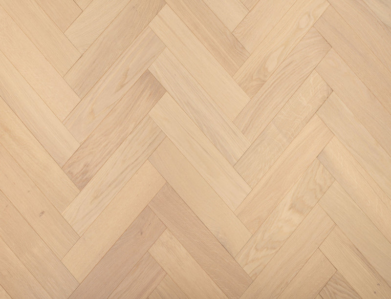 Gilded Oak (Sample)